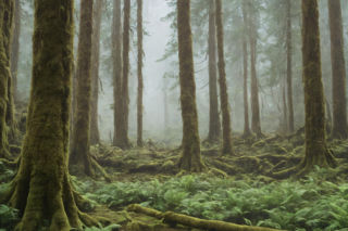 Bezużyteczność wieczysta, czyli pierwsza łamigłówka na łamach Architektury-murator. Stwórz własną odpowiedź na pytanie