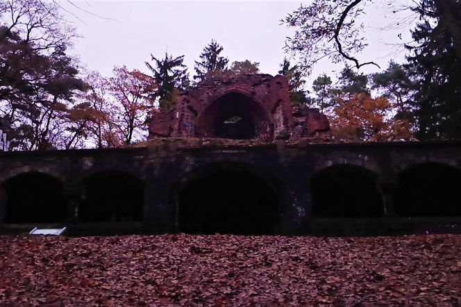 Teren wokół Wieży Quistorpa został uporządkowany