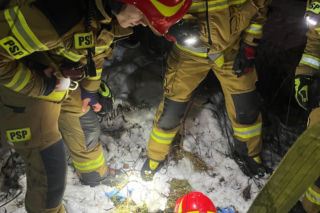 Myśleli, że to dzik. Maleńka sarenka została uratowana z niebezpiecznej pułapki