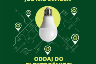 Gdzie wyrzucać żarówki, stare lampy i żyrandole? Zobacz, jak pozbyć się takich odpadów
