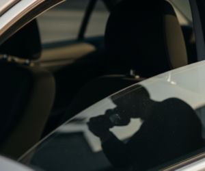 Pies uwięziony w aucie. Co groziło zapominalskiemu właścicielowi?