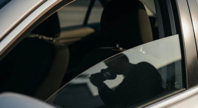 Pies uwięziony w aucie. Co groziło zapominalskiemu właścicielowi?