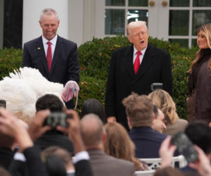 Trump ułaskawił indyki. Ale poprzednie zostaną zjedzone?!