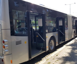 Pierwszy kurs autobusu przegubowego w Grudziądzu