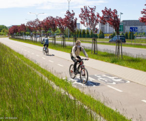 Miasto z Klimatem. Białystok zwyciężył w ogólnopolskim konkursie [ZDJECIA]