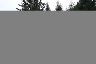 Uciekli przed komornikiem i im się udało