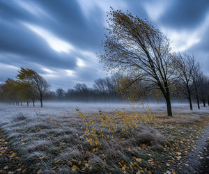 Pogoda w Kaliszu 19.11.2025. Co naprawdę czeka mieszkańców?