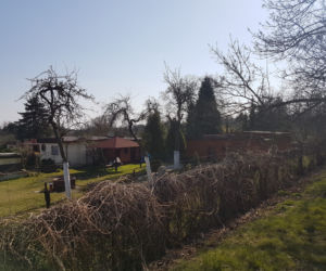 Ogródki działkowe w czasie pandemii