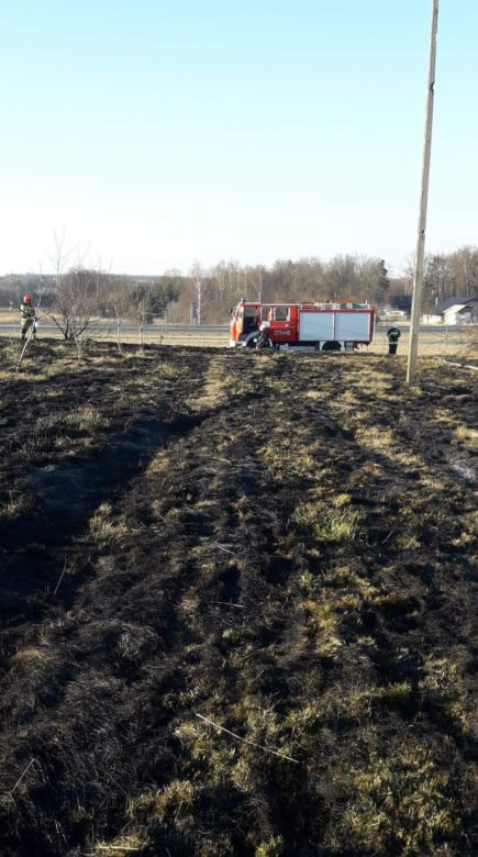 Zwęglone zwłoki mężczyzny w Zaczarniu. Zginął w trakcie wypalania traw