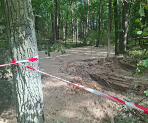 Tajemnicza maź zalała las pod Starachowicami. Policja i leśnicy badają sprawę