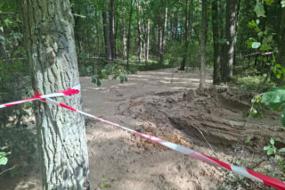 Tajemnicza maź zalała las pod Starachowicami. Policja i leśnicy badają sprawę