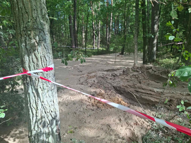 Tajemnicza maź zalała las pod Starachowicami. Policja i leśnicy badają sprawę