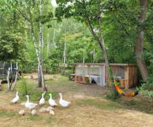 Inn Vivo - ekologiczny dom koło Szczecina