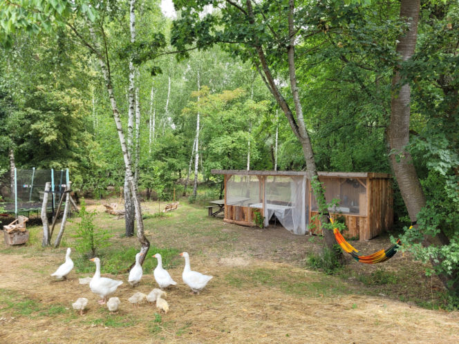 Inn Vivo - ekologiczny dom koło Szczecina