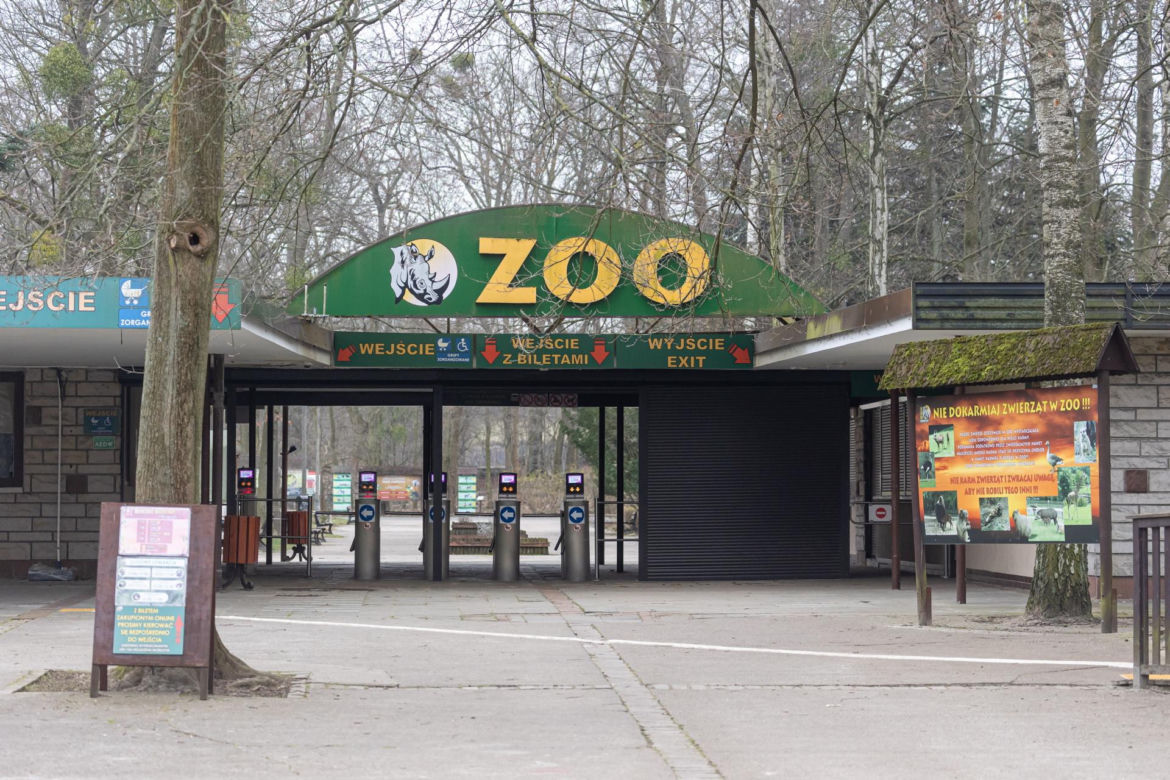 Zatrzymanie Ewy Z. - dyrektorki zoo w Poznaniu