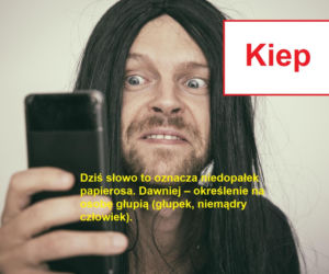 Język żyje — zmienia go historia, migracje, zapożyczenia z innych języków, a nawet technologia