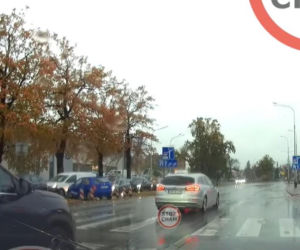 Ominął auto i prawie rozjechał pieszego. Szok na pasach we Wrocławiu! [WIDEO]