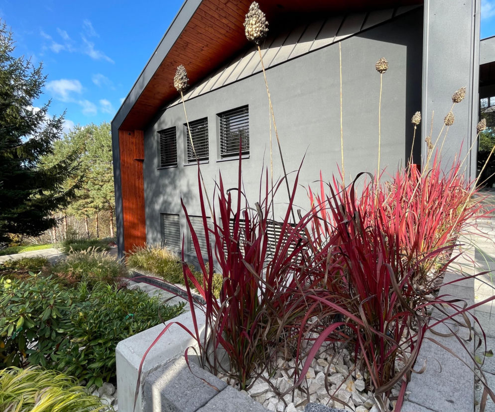 Nowoczesny dom jednorodzinny Konrada T. Opasały na skarpie w Lublinie, zgłoszony do konkursu Życie w Architekturze 2025. Widoczne szare elewacje, drewniane podbitki dachu, małe okna oraz kontrastujące czerwone rośliny ozdobne na pierwszym planie. Więcej o projekcie Architektura Murator Plus.