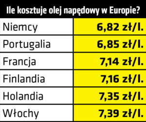 Ile benzyny możemy kupić za polską pensję?