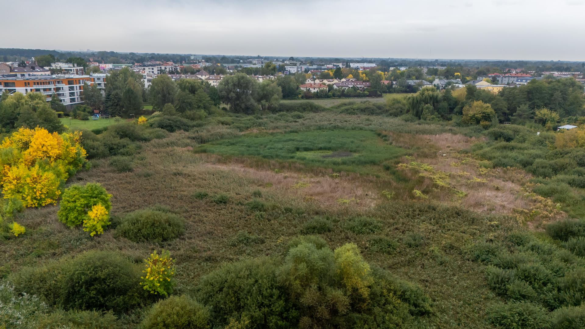 Wyschnięte Jeziorko Imielińskie w Warszawie