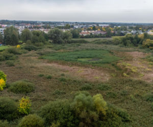 Wyschnięte Jeziorko Imielińskie w Warszawie