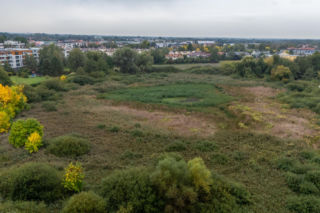 Wyschnięte Jeziorko Imielińskie w Warszawie