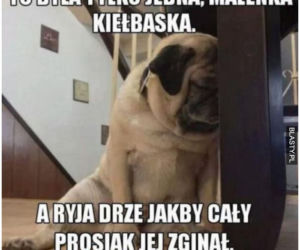 Te obrazki podbiły internet i serca Polaków. Dzień Psa to nie tylko czas na śmiech, ale i ważny apel!