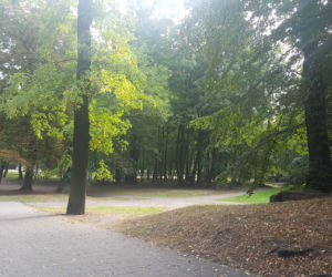 Park Zamkowy i Promenada w Mysłowicach