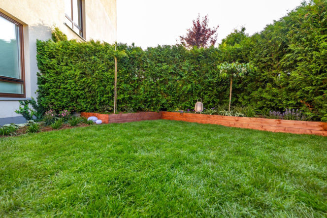 Ogródek przy mieszkaniu w bloku