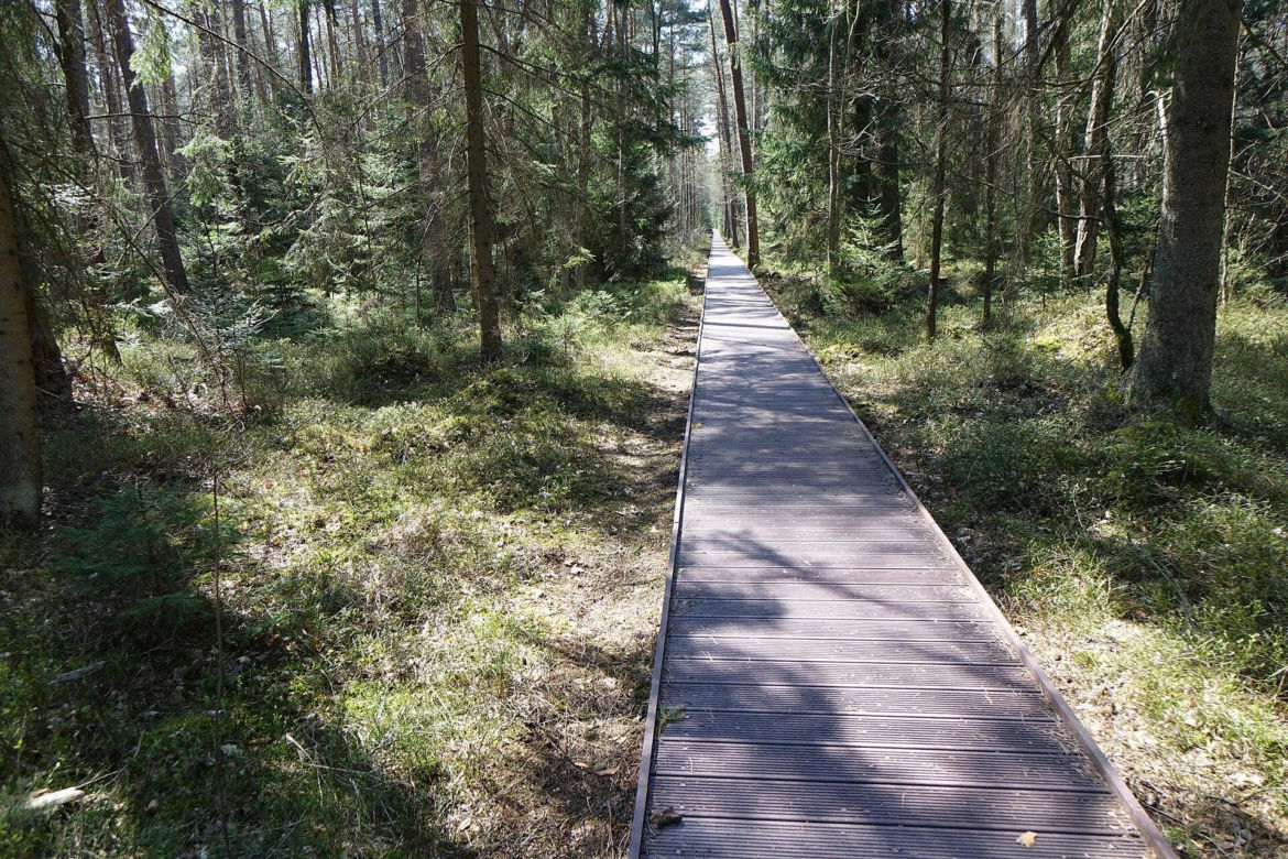 Biebrzański Park Narodowy