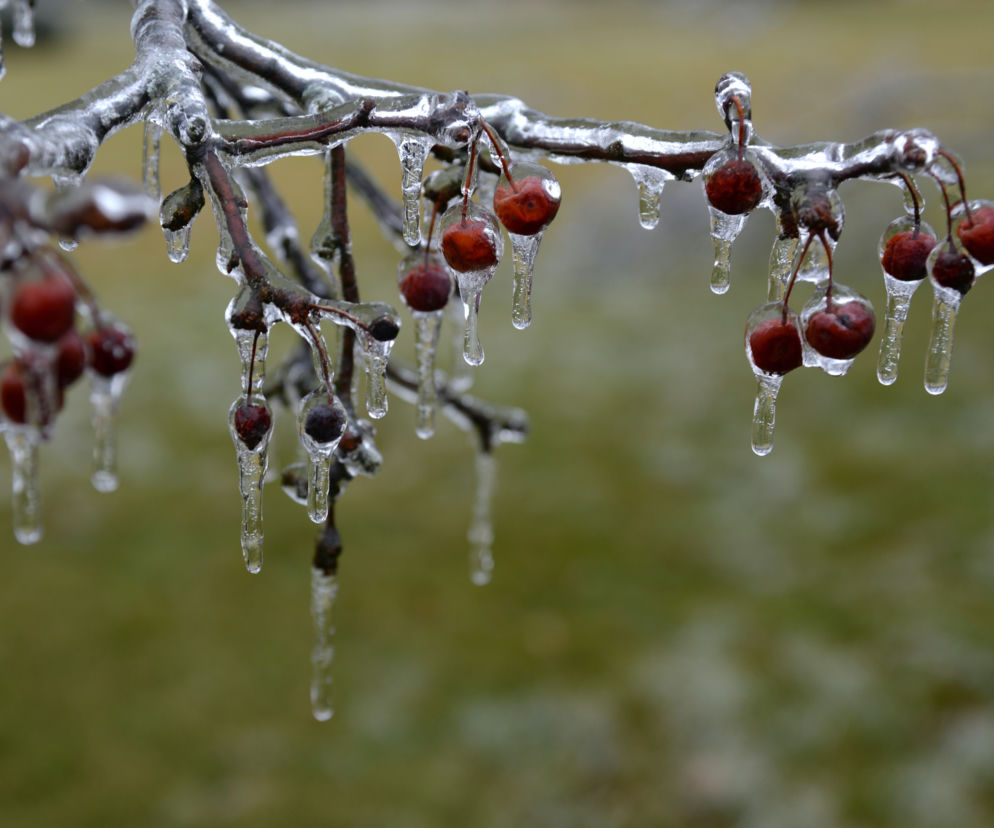 Pogoda na jutro. Deszcz ze śniegiem to tylko początek! Wichury nad morzem i w górach [Prognoza pogody 16.02.2022]