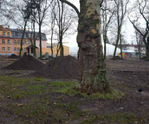 Tu na razie jest... Trwa modernizacja dwóch parków miejskich w Lesznie 