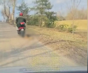 72-latek ciągnął psa za motorowerem. Zwierzę nie przeżyło