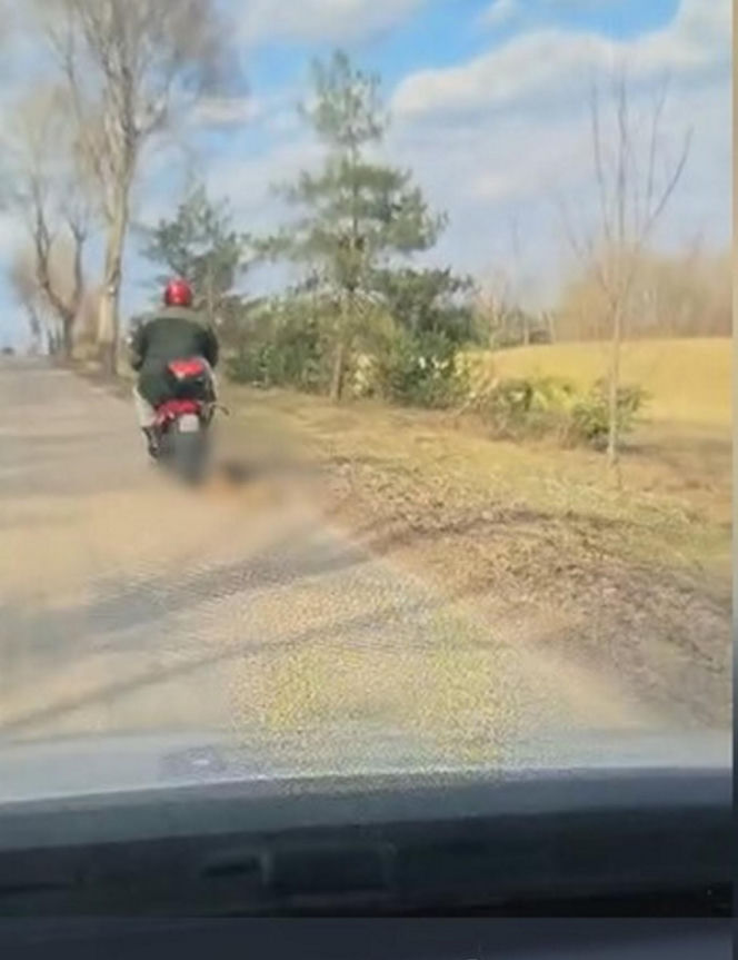 72-latek ciągnął psa za motorowerem. Zwierzę nie przeżyło