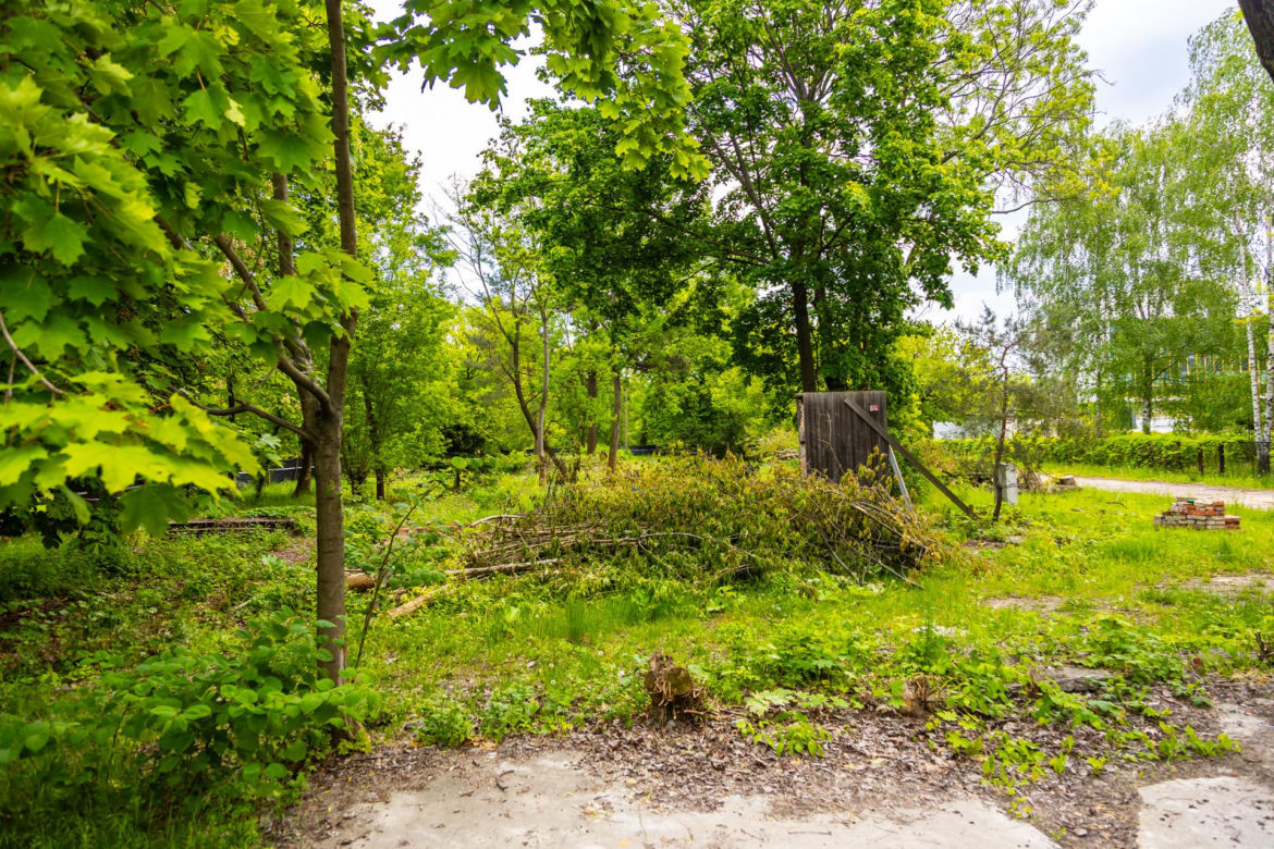 Domki fińskie na Polu Mokotowskim w trakcie odbudowy