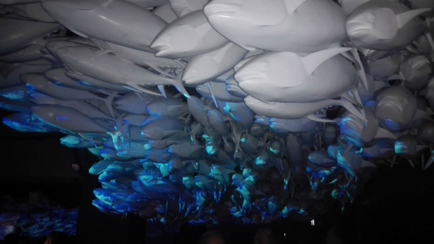Hydropolis 64 interaktywne instalacje