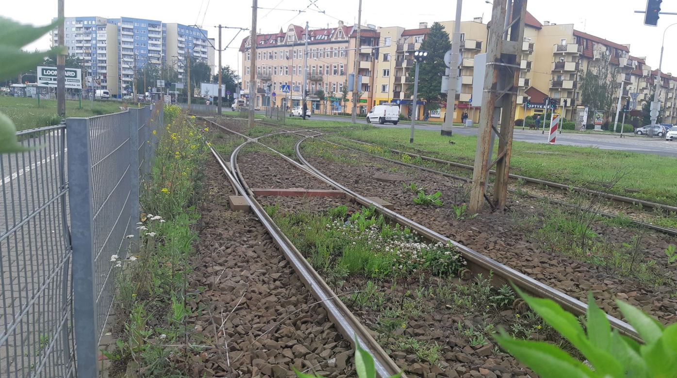Zielone torowisko i remont pętli na Karłowicach