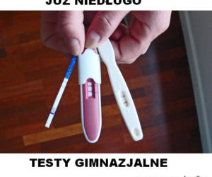 Memy egzamin gimnazjalny