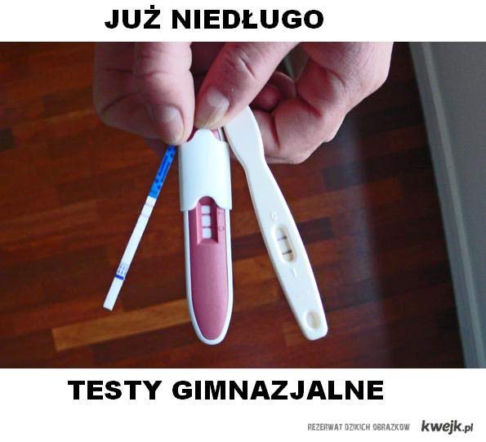 Memy egzamin gimnazjalny