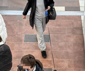 Sonia Bohosiewicz na lodach