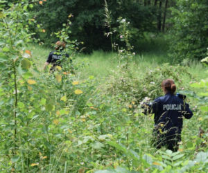Poszukiwania 83-letniego mieszkańca Rytla