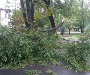 Burza nad Radomiem! Wichura połamała drzewa