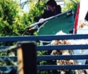 Kopki. W tym domu rozegrał się HORROR. Nie żyje Magdalena i dwójka jej dzieci [ZDJĘCIA]