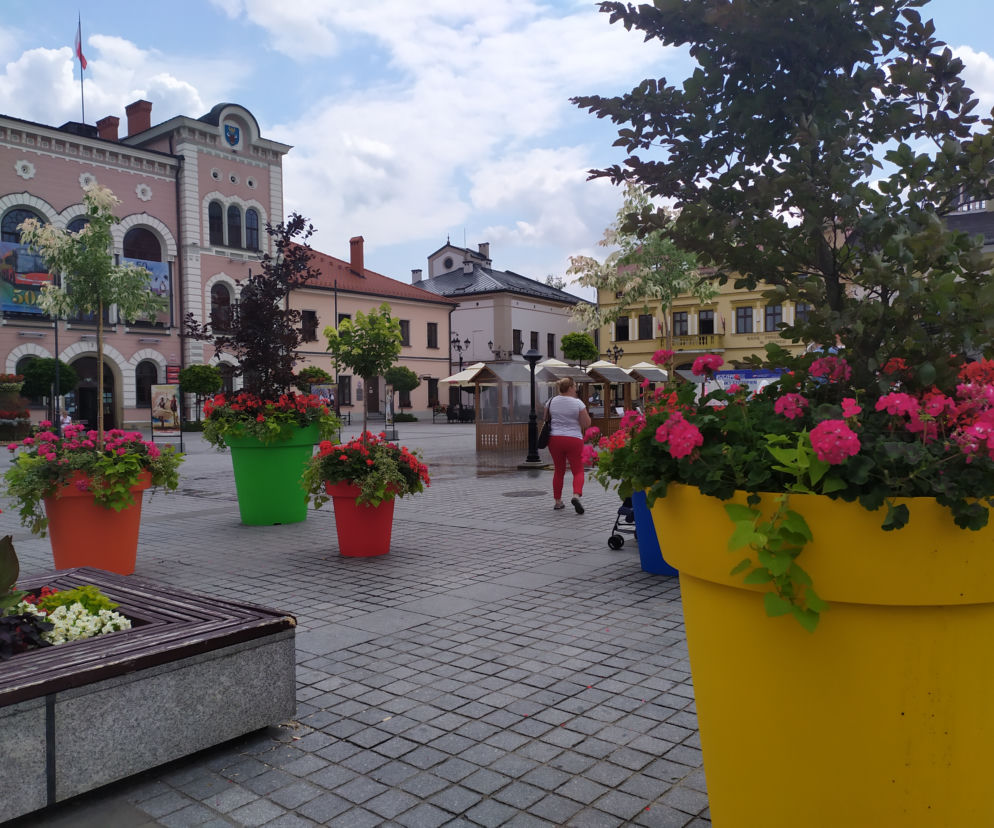 strefa relaksu na rynku w Żywcu