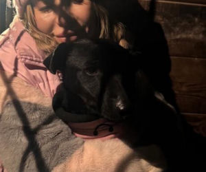 Koniec heroizmu Dody? Artystka mówi dość po dramatycznych wizytach w schroniskach