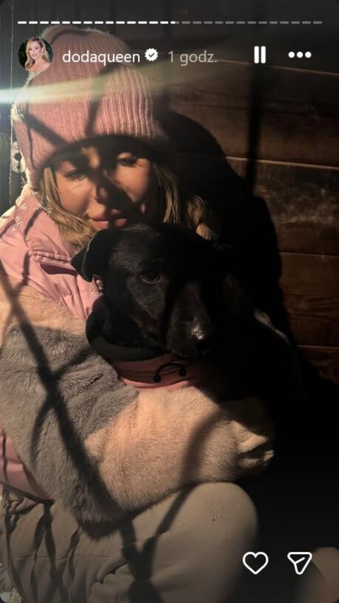 Koniec heroizmu Dody? Artystka mówi dość po dramatycznych wizytach w schroniskach