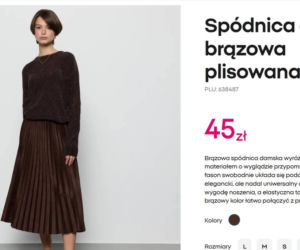 Ta spódnica z Pepco to hit nadchodzącej jesieni. Kosztuje grosze, a założysz ją do wielu stylizacji