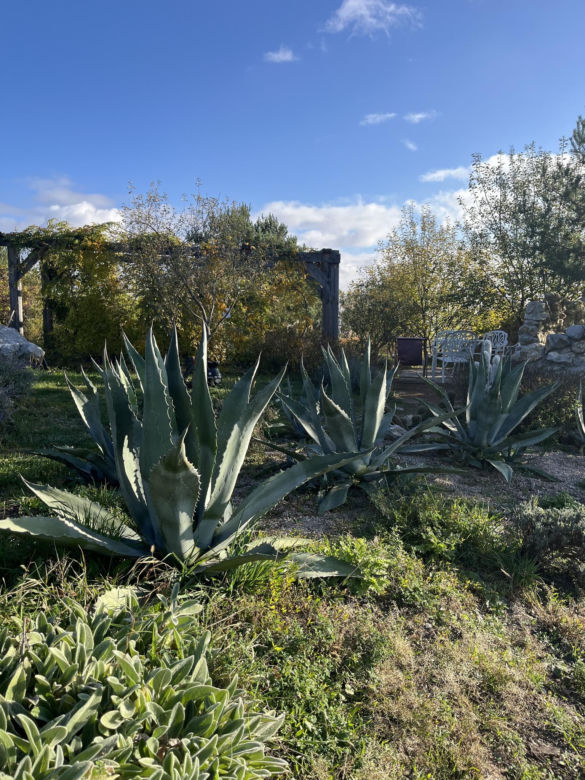 Ogród Botaniczny w Kielcach przed sezonem 2025