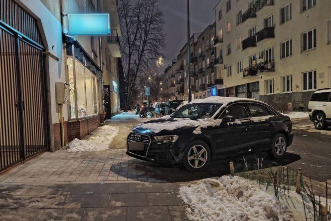 Anna Maria Żukowska buszuje w kwiatach