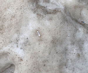 Daniel Olbrychski pali pod zakazem palenia